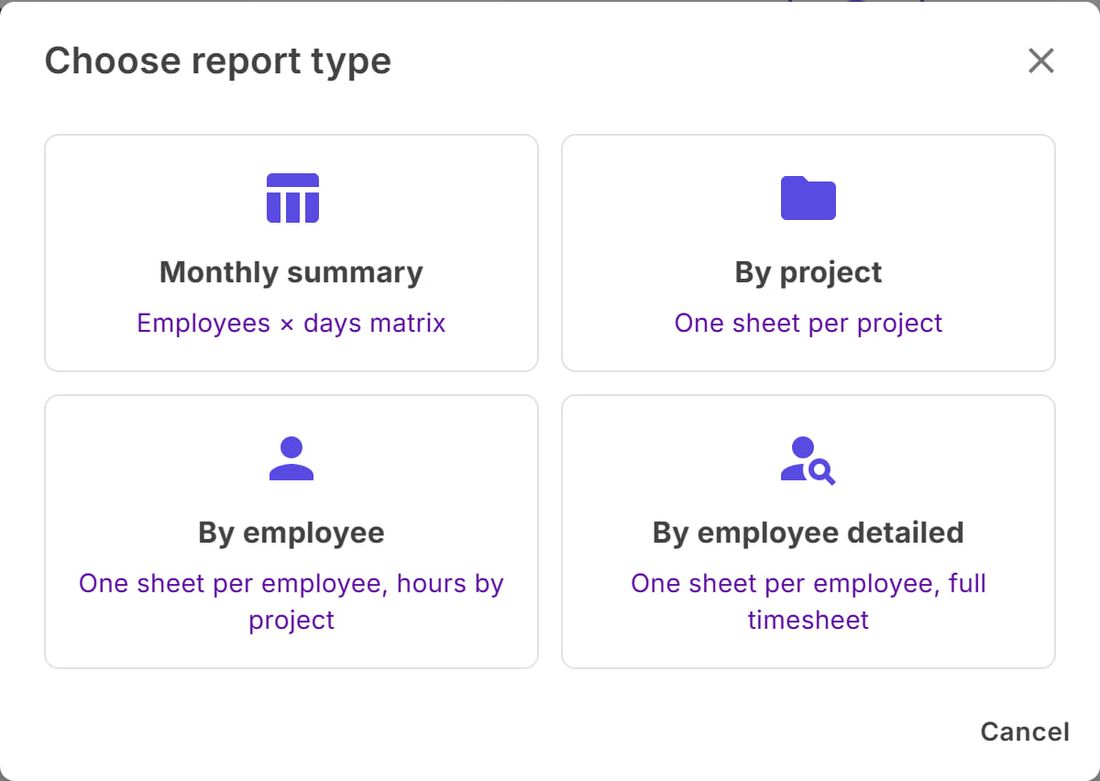 Choose report type window with the four Excel formats