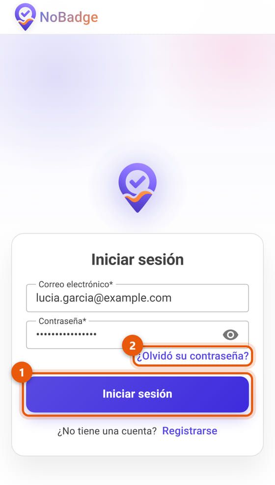 Página de acceso con Iniciar sesión y ¿Olvidó su contraseña?