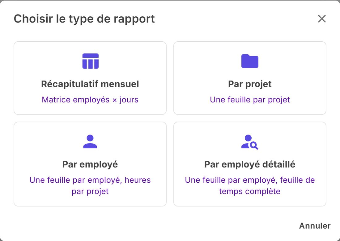 Fenêtre Choisir le type de rapport avec les quatre formats Excel